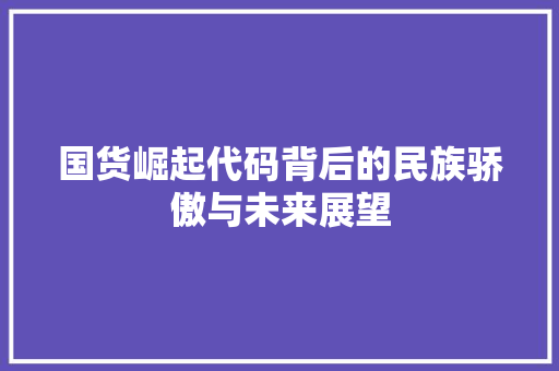 国货崛起代码背后的民族骄傲与未来展望
