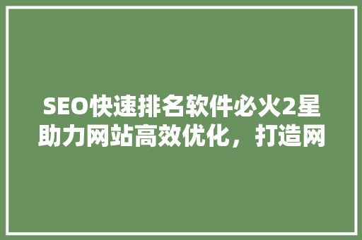 SEO快速排名软件必火2星助力网站高效优化，打造网络营销新高度