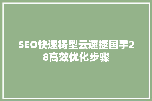 SEO快速祷型云速捷国手28高效优化步骤