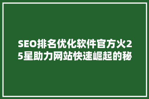 SEO排名优化软件官方火25星助力网站快速崛起的秘密武器