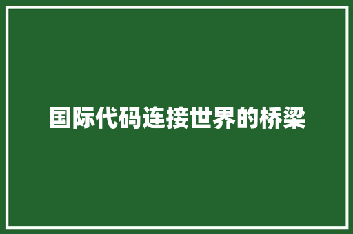 国际代码连接世界的桥梁