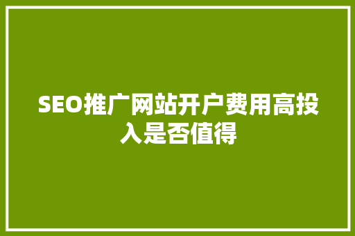SEO推广网站开户费用高投入是否值得