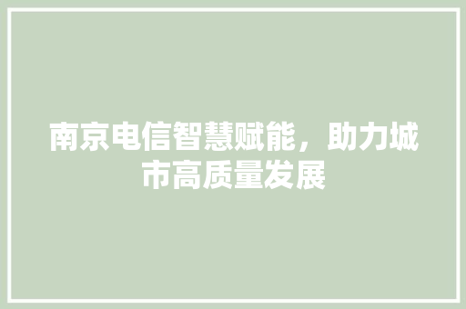 南京电信智慧赋能，助力城市高质量发展