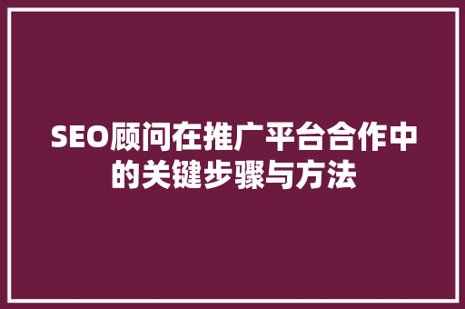 SEO顾问在推广平台合作中的关键步骤与方法