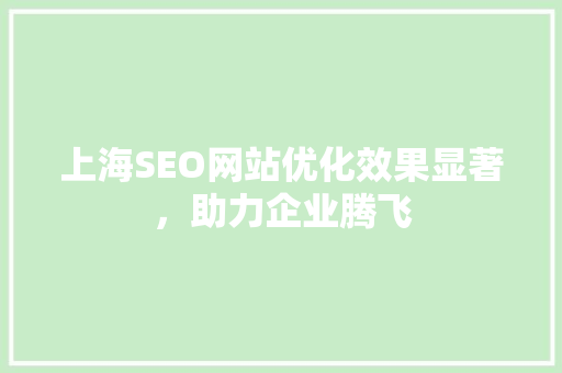 上海SEO网站优化效果显著，助力企业腾飞
