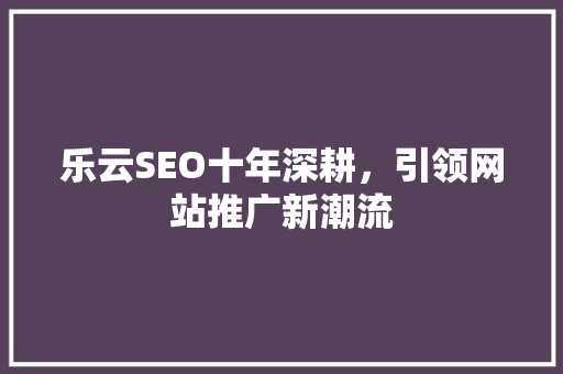 乐云SEO十年深耕，引领网站推广新潮流  第1张