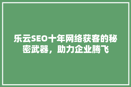 乐云SEO十年网络获客的秘密武器，助力企业腾飞