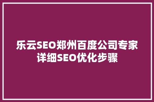 乐云SEO郑州百度公司专家详细SEO优化步骤