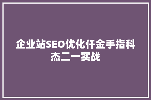 企业站SEO优化仟金手指科杰二一实战
