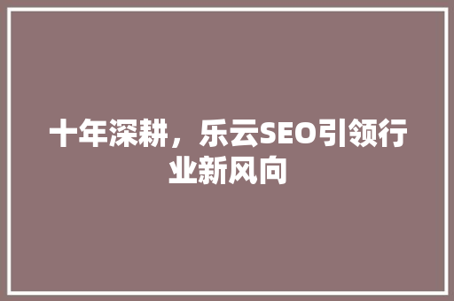 十年深耕，乐云SEO引领行业新风向  第1张