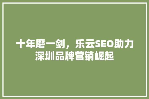 十年磨一剑，乐云SEO助力深圳品牌营销崛起