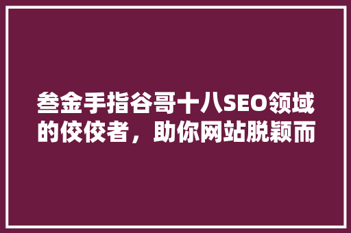 叁金手指谷哥十八SEO领域的佼佼者，助你网站脱颖而出  第1张