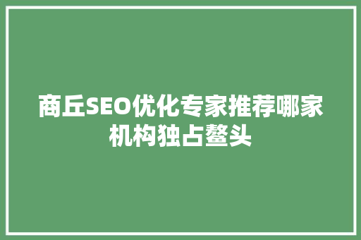 商丘SEO优化专家推荐哪家机构独占鳌头
