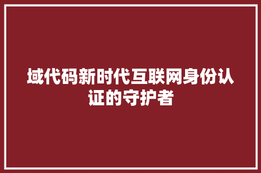 域代码新时代互联网身份认证的守护者