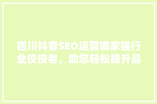 四川抖音SEO运营哪家强行业佼佼者，助您轻松提升品牌影响力