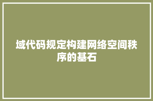 域代码规定构建网络空间秩序的基石