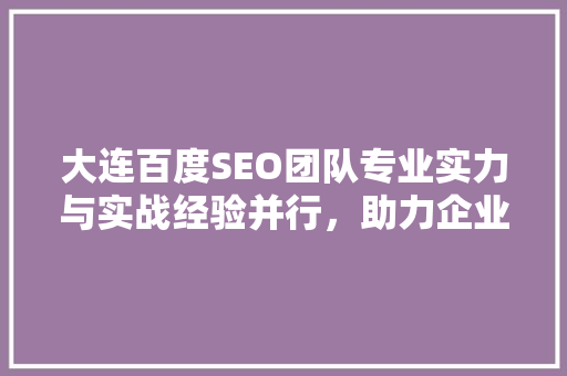 大连百度SEO团队专业实力与实战经验并行，助力企业高效提升网站排名