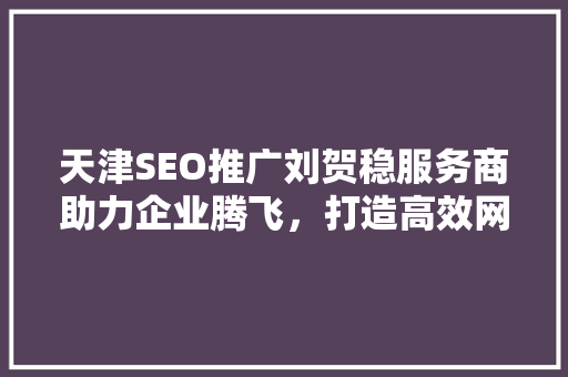 天津SEO推广刘贺稳服务商助力企业腾飞，打造高效网络营销步骤