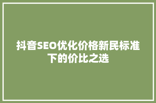 抖音SEO优化价格新民标准下的价比之选