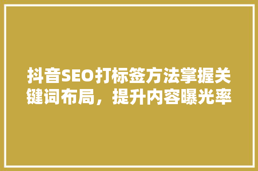 抖音SEO打标签方法掌握关键词布局，提升内容曝光率