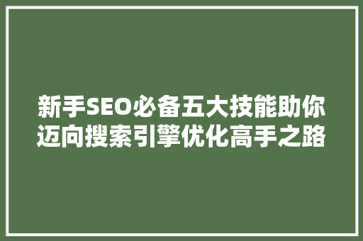 新手SEO必备五大技能助你迈向搜索引擎优化高手之路