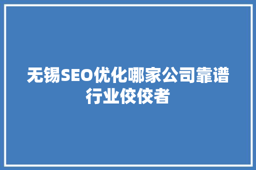 无锡SEO优化哪家公司靠谱行业佼佼者