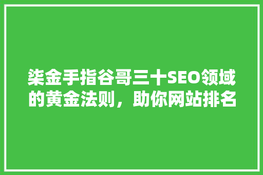 柒金手指谷哥三十SEO领域的黄金法则，助你网站排名提升之路