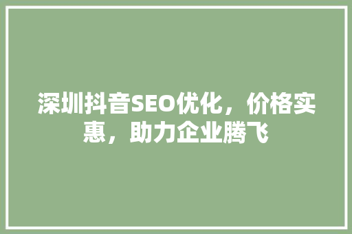 深圳抖音SEO优化，价格实惠，助力企业腾飞