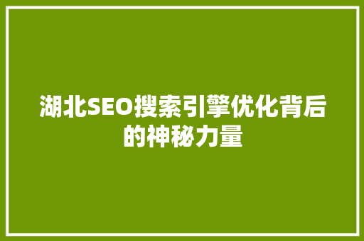 湖北SEO搜索引擎优化背后的神秘力量