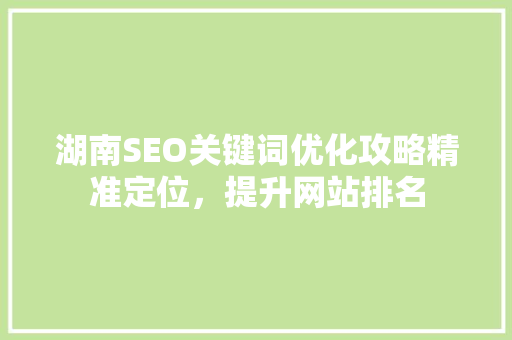 湖南SEO关键词优化攻略精准定位，提升网站排名