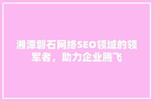 湘潭磐石网络SEO领域的领军者，助力企业腾飞