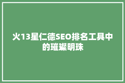 火13星仁德SEO排名工具中的璀璨明珠