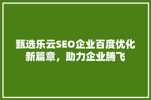 甄选乐云SEO企业百度优化新篇章，助力企业腾飞