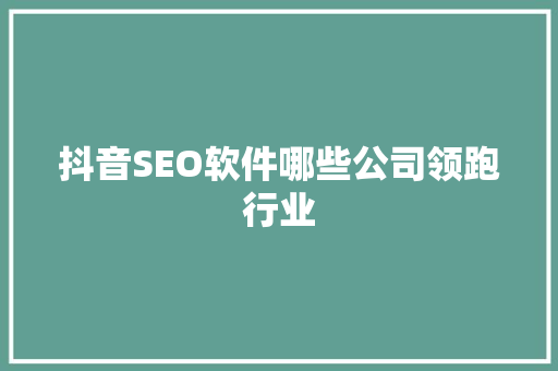 抖音SEO软件哪些公司领跑行业