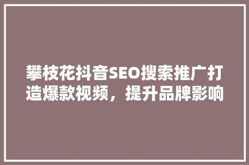 攀枝花抖音SEO搜索推广打造爆款视频，提升品牌影响力