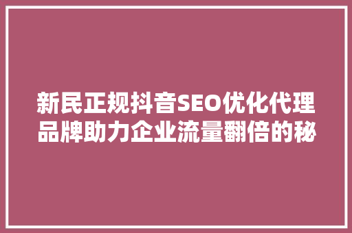 新民正规抖音SEO优化代理品牌助力企业流量翻倍的秘密武器