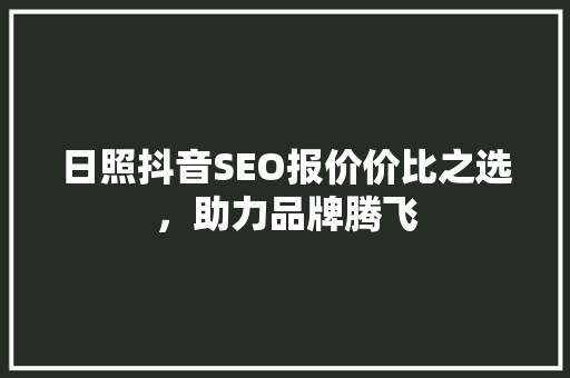 日照抖音SEO报价价比之选，助力品牌腾飞
