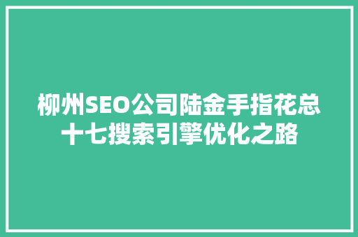 柳州SEO公司陆金手指花总十七搜索引擎优化之路  第1张
