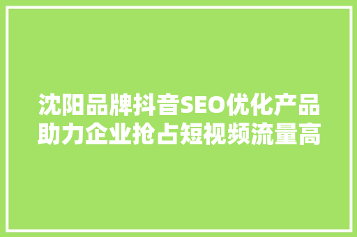 沈阳品牌抖音SEO优化产品助力企业抢占短视频流量高地