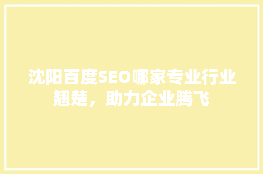 沈阳百度SEO哪家专业行业翘楚，助力企业腾飞