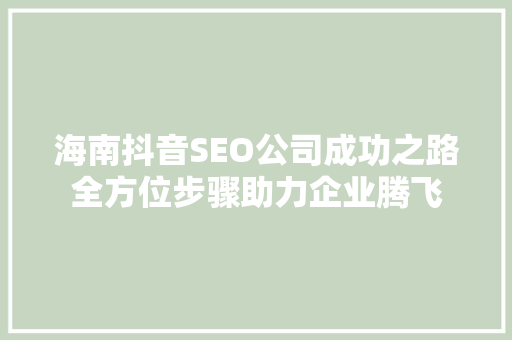 海南抖音SEO公司成功之路全方位步骤助力企业腾飞