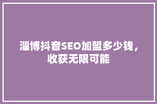 淄博抖音SEO加盟多少钱，收获无限可能