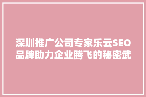 深圳推广公司专家乐云SEO品牌助力企业腾飞的秘密武器