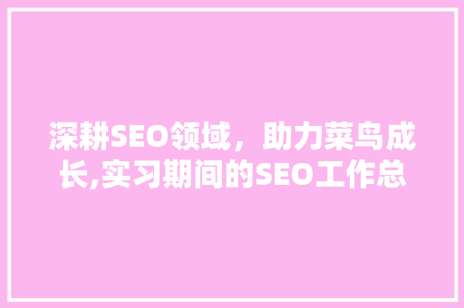 深耕SEO领域，助力菜鸟成长,实习期间的SEO工作总结
