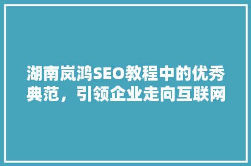 湖南岚鸿SEO教程中的优秀典范，引领企业走向互联网成功之路