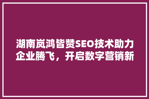 湖南岚鸿皆赞SEO技术助力企业腾飞，开启数字营销新篇章