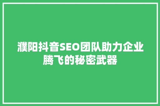 濮阳抖音SEO团队助力企业腾飞的秘密武器