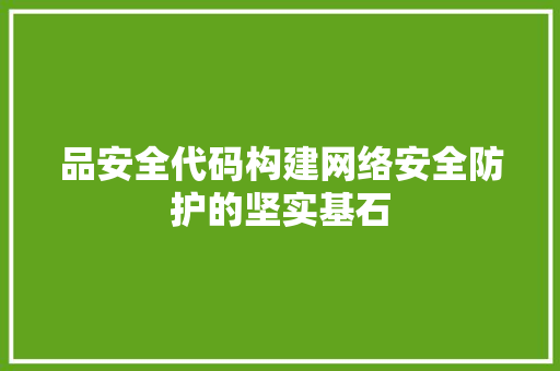 品安全代码构建网络安全防护的坚实基石