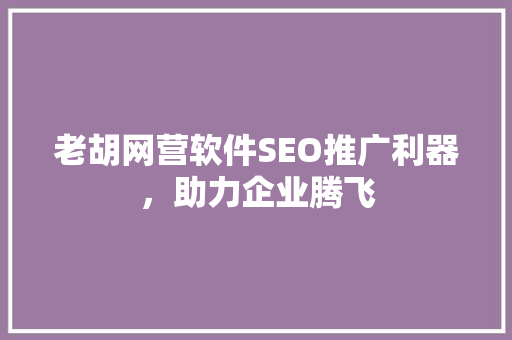 老胡网营软件SEO推广利器，助力企业腾飞