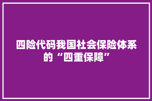 四险代码我国社会保险体系的“四重保障”